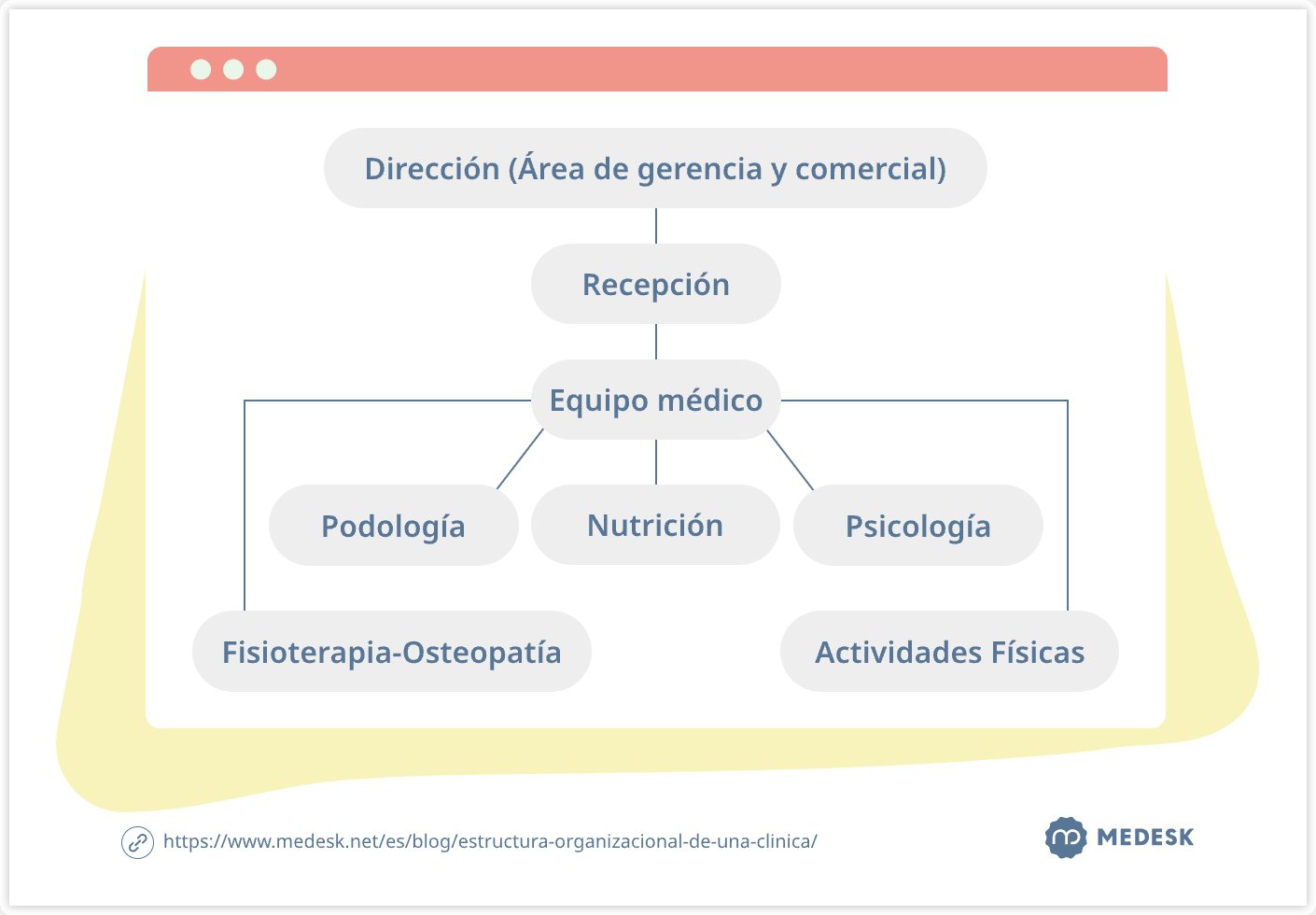 organigrama-de-una-clinica-de-fisioterapia-svg