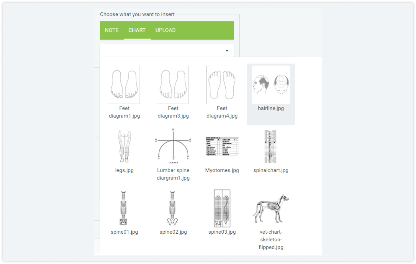 practicepal-bodychart