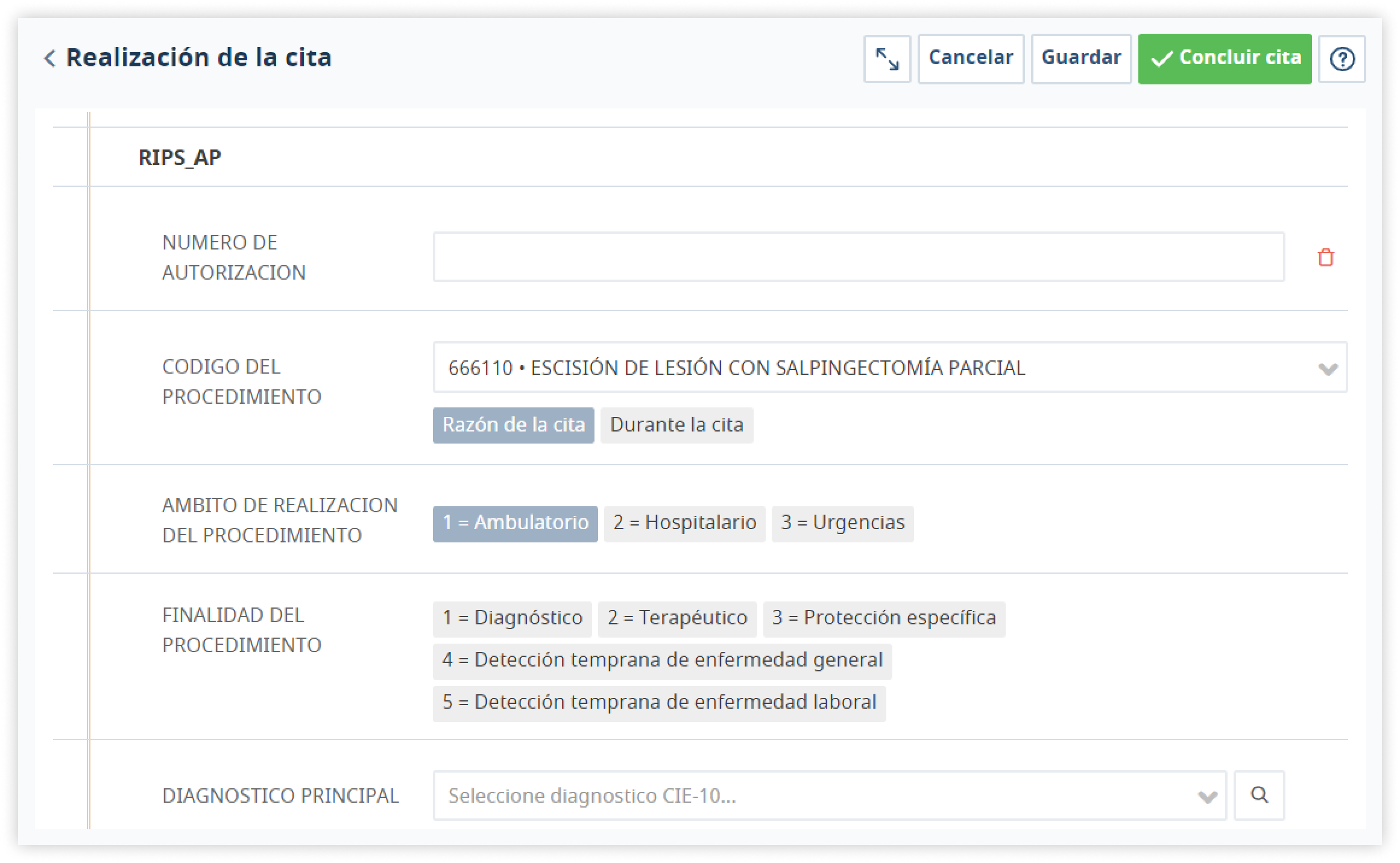 Realización de la cita