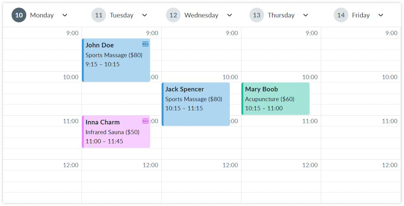 timely-calendar-color-tags