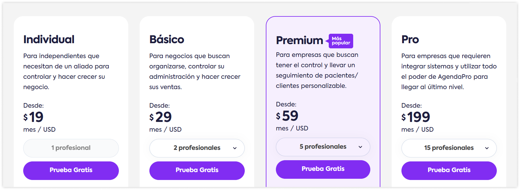 agendapro-precios