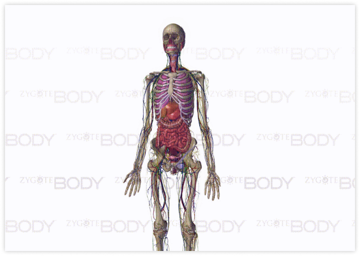 visual-communication-in-healthcare-pic-for-gif