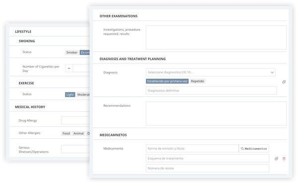 consultation-notes-en