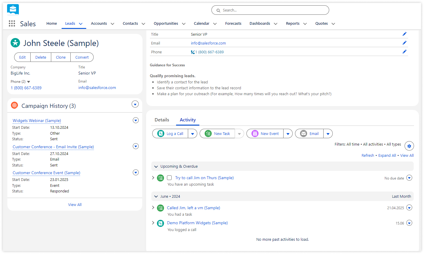 salesforce-lead-page